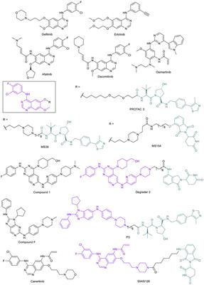 Overcoming Cancer Drug Resistance Utilizing PROTAC Technology